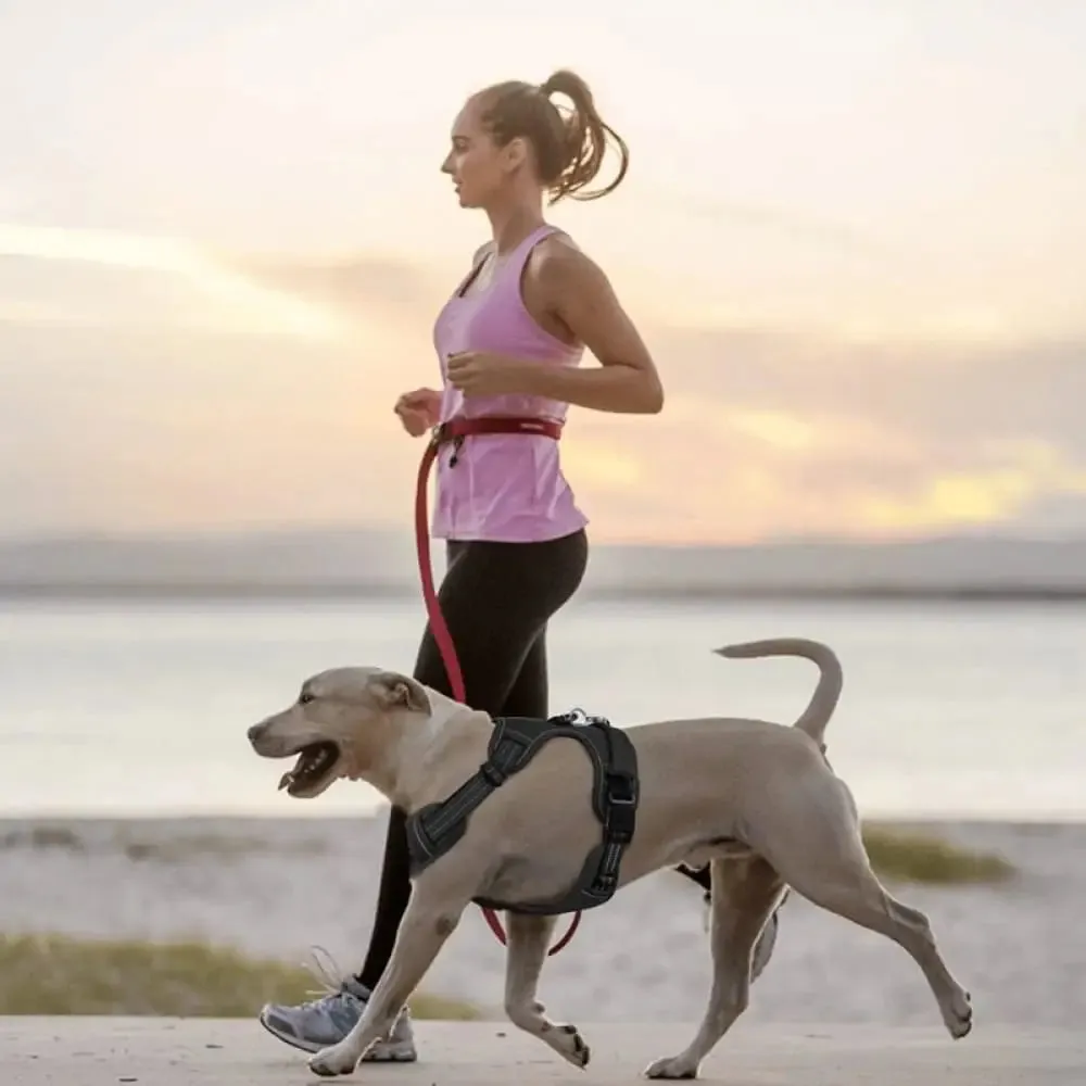 2 Leash Clips Durable no Pull Reflective Control Handle Dog Vest Harness Air Mesh for Small, Medium, and Large Dog