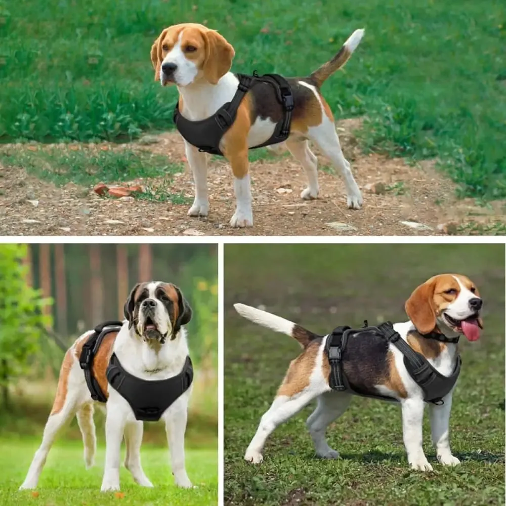 2 Leash Clips Durable no Pull Reflective Control Handle Dog Vest Harness Air Mesh for Small, Medium, and Large Dog