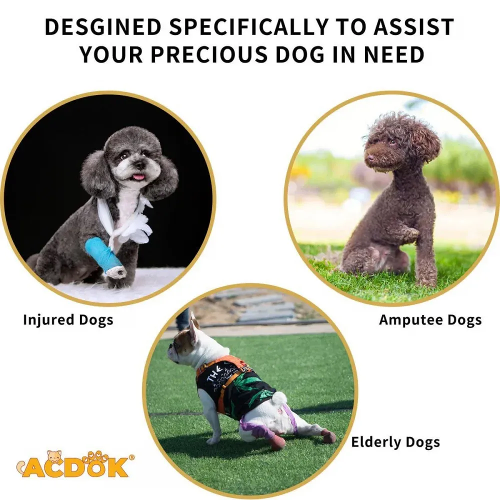 Adjustable Dog Rehabilitation Harness with Padded Straps