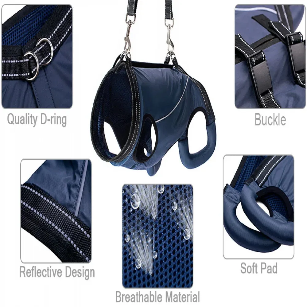 Adjustable Dog Rehabilitation Harness with Padded Straps