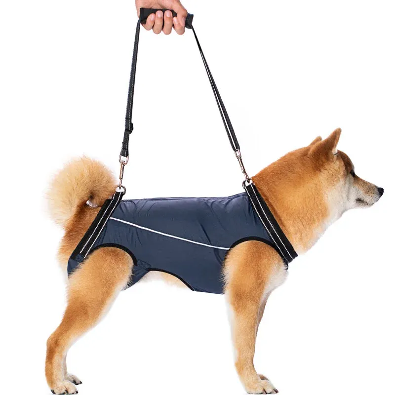 Adjustable Dog Rehabilitation Harness with Padded Straps
