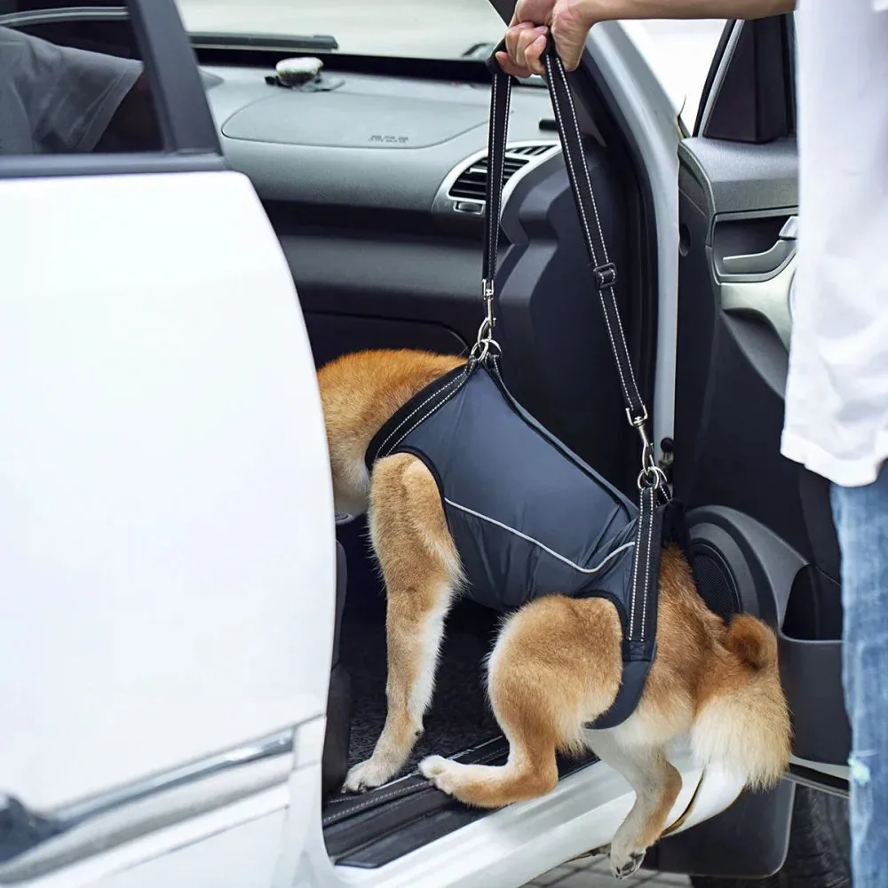 Adjustable Dog Rehabilitation Harness with Padded Straps