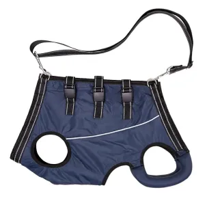 Adjustable Dog Rehabilitation Harness with Padded Straps