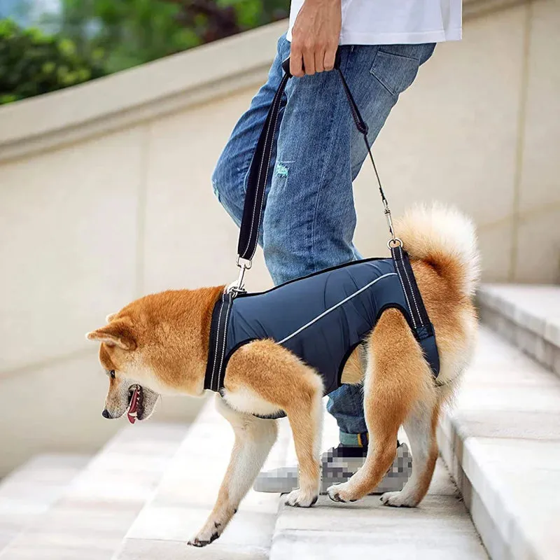 Adjustable Dog Rehabilitation Harness with Padded Straps