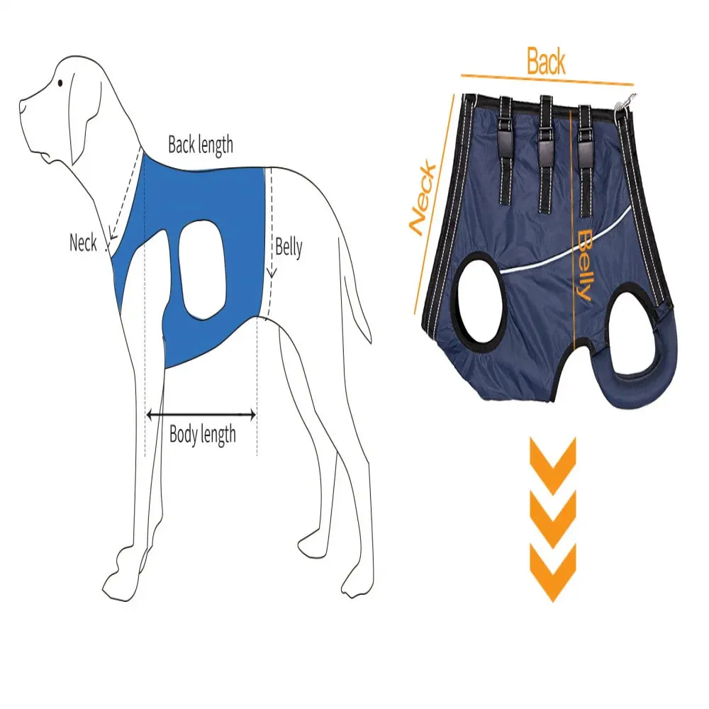 Adjustable Dog Rehabilitation Harness with Padded Straps