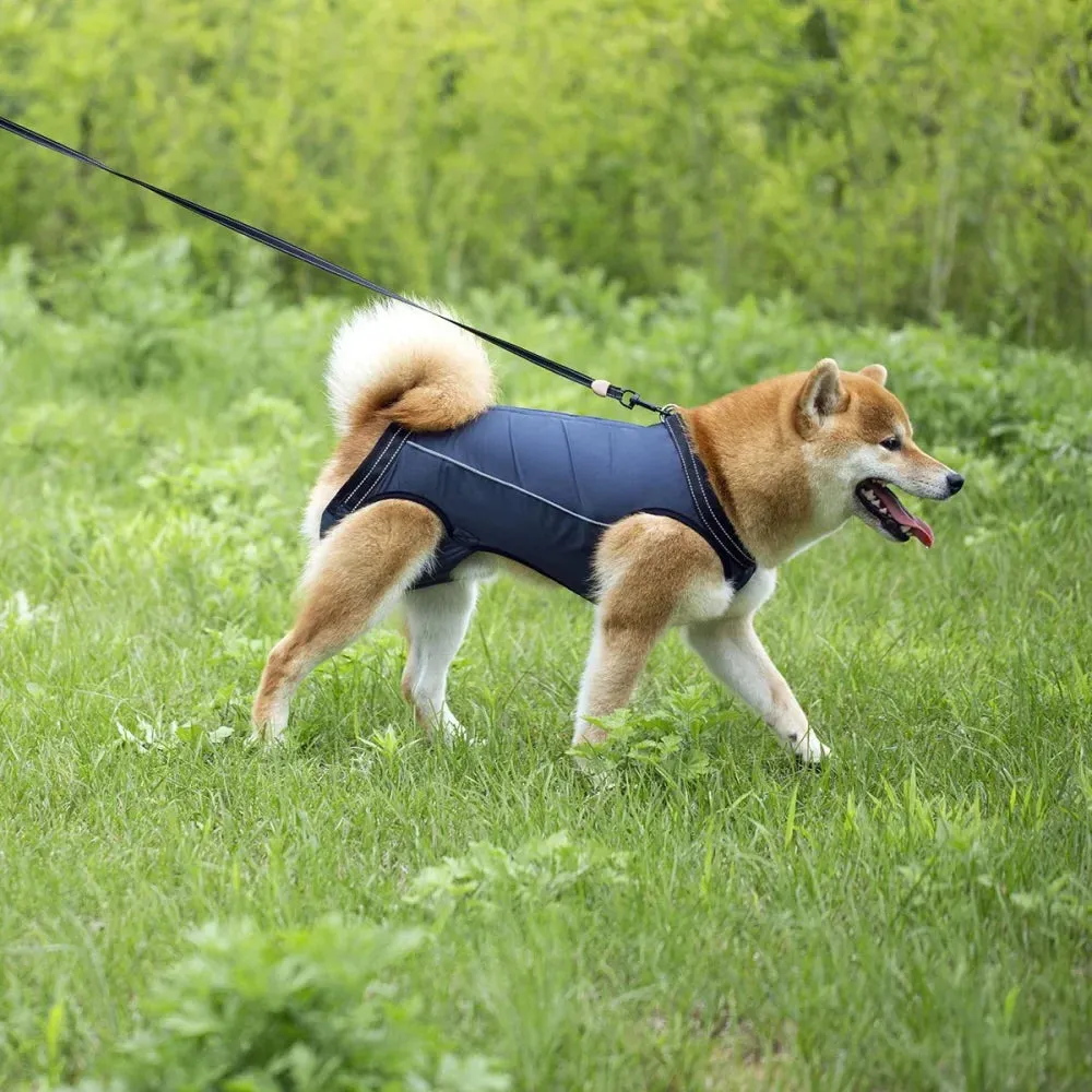 Adjustable Dog Rehabilitation Harness with Padded Straps