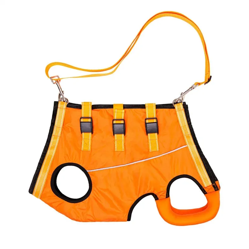 Adjustable Dog Rehabilitation Harness with Padded Straps