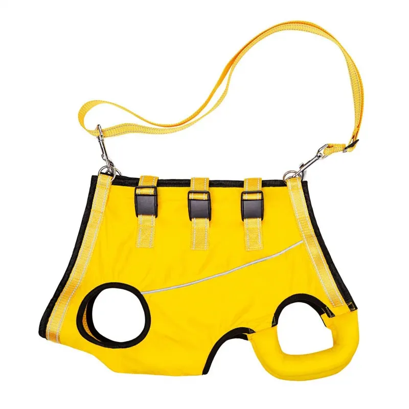 Adjustable Dog Rehabilitation Harness with Padded Straps