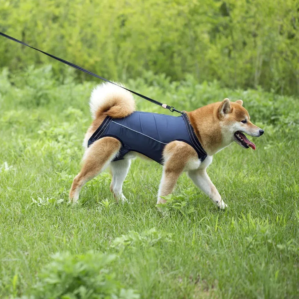 Adjustable Dog Rehabilitation Harness with Padded Straps