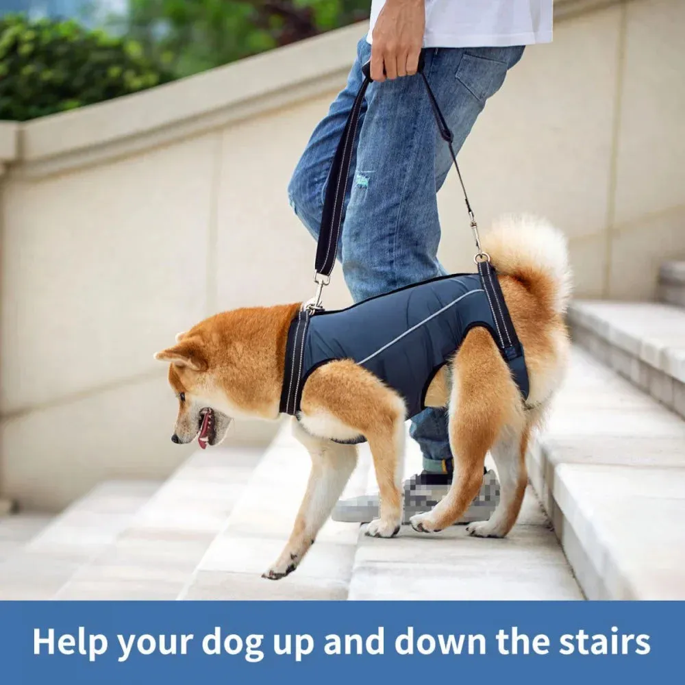 Adjustable Dog Rehabilitation Harness with Padded Straps