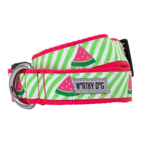 Collar | Green Stripe Watermelon
