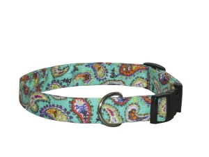 Elmo's Closet Cynthia Dog Collar