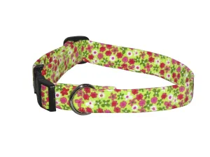 Elmo's Closet Lime Floral Dog Collar