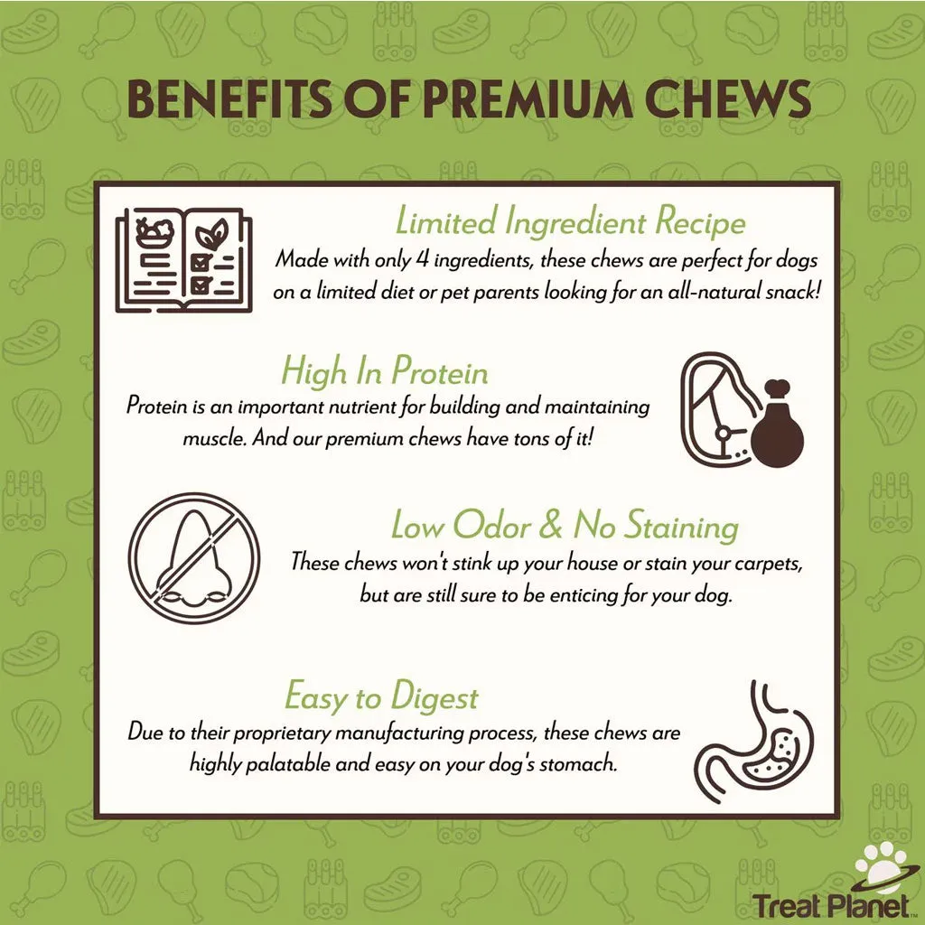 Etta Says! Premium Crunchy Chew Bars Chicken   Chia Dog Treats, 12 count
