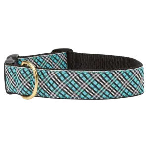 Extra-Wide Collar | Aqua Plaid