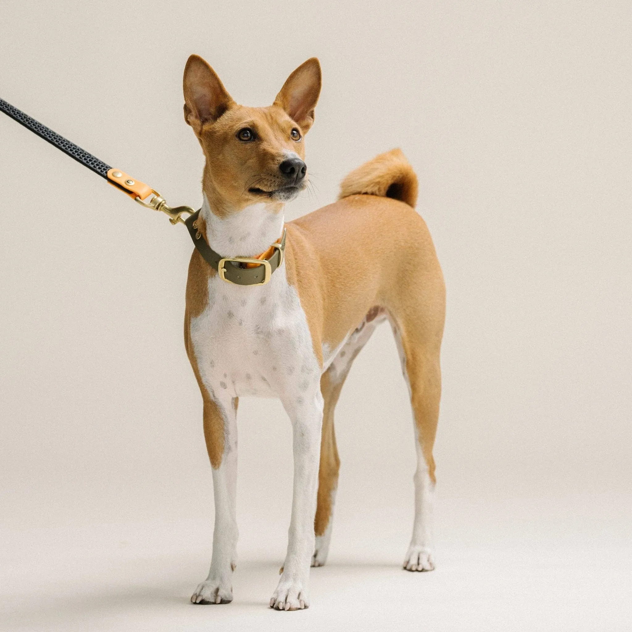 GULA | Anti Slip Biothane Dog Lead