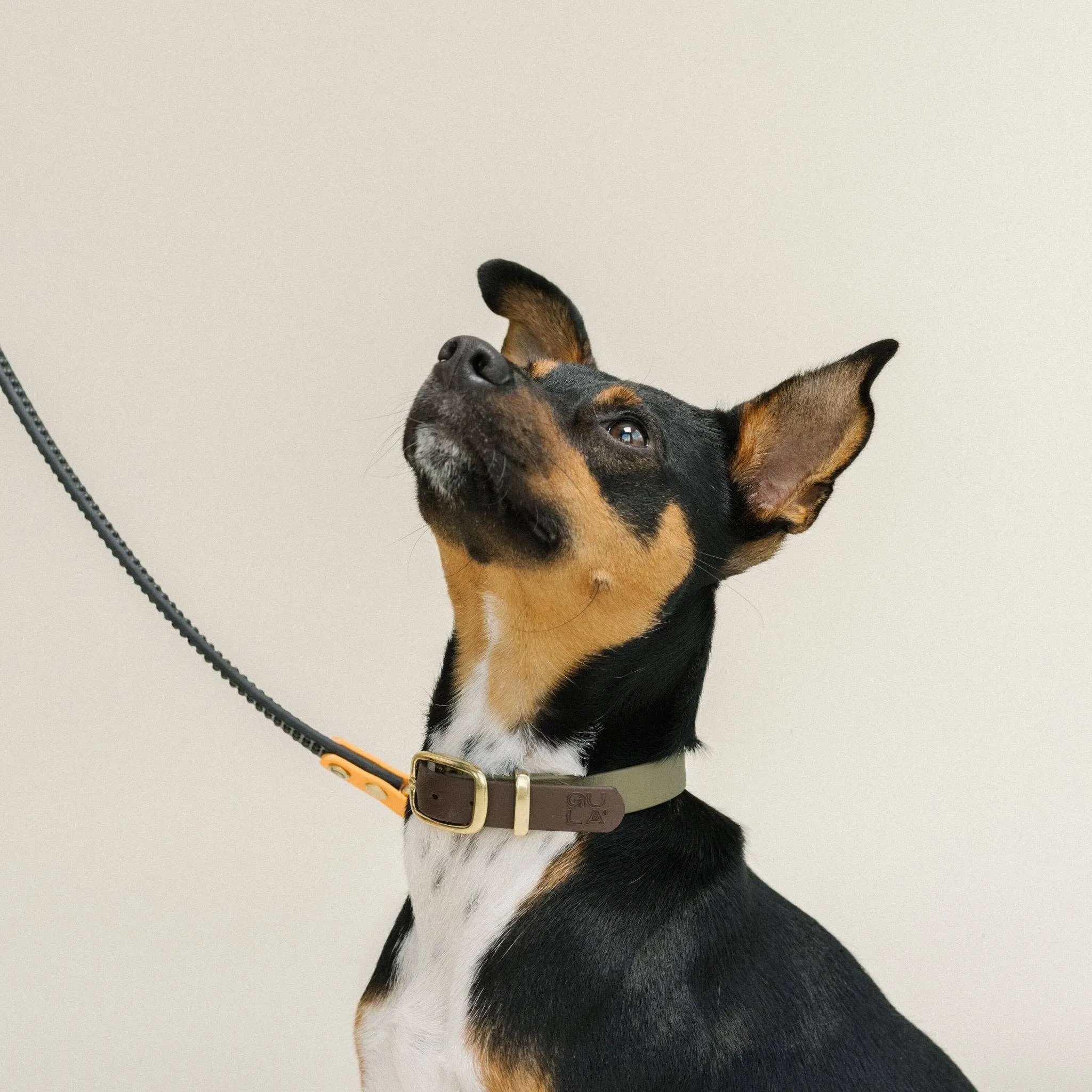 GULA | Anti Slip Biothane Dog Lead