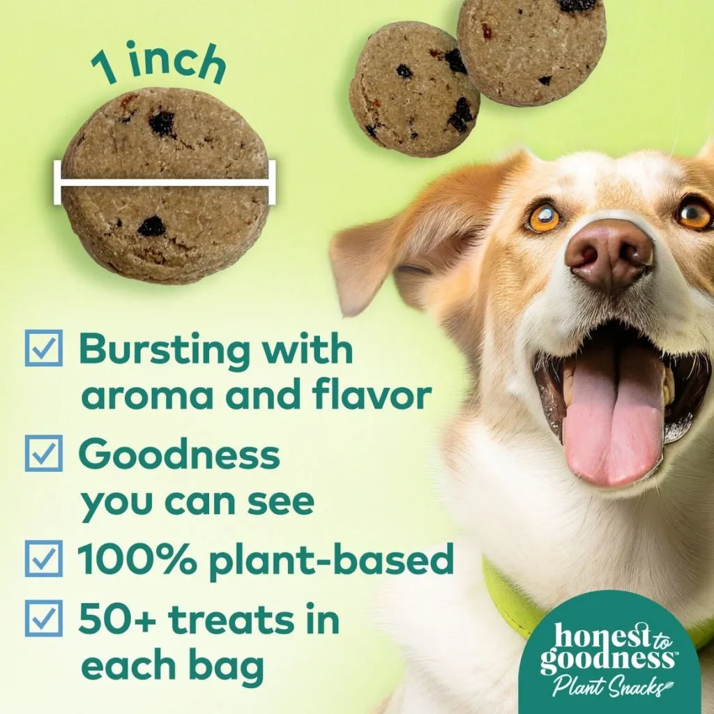 Honest To Goodness Golden Years Blueberry & Carrot Senior Care Treats For Dogs (8 oz)