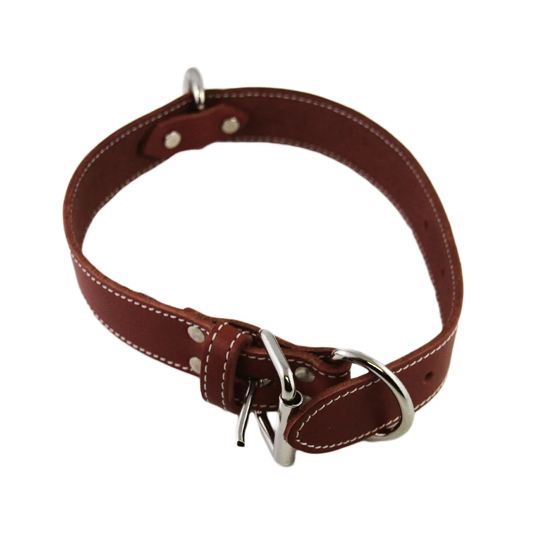 Lacet's Arizona Leather Single Collar
