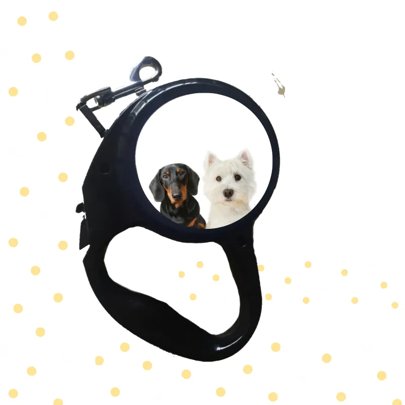 Leashes
