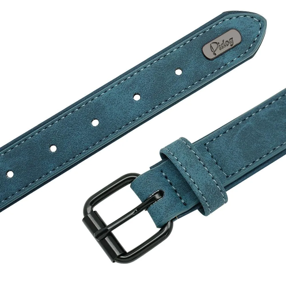 Leather Collar & Leash