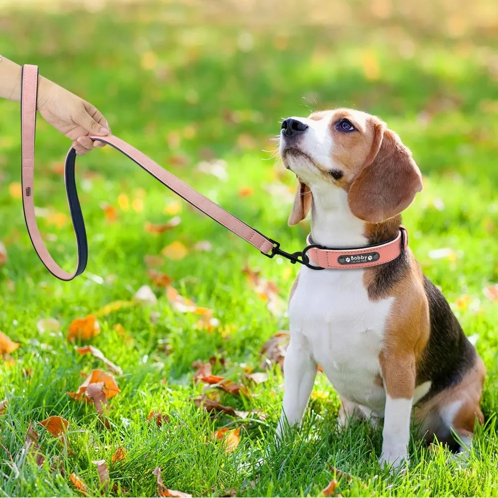 Leather Collar & Leash