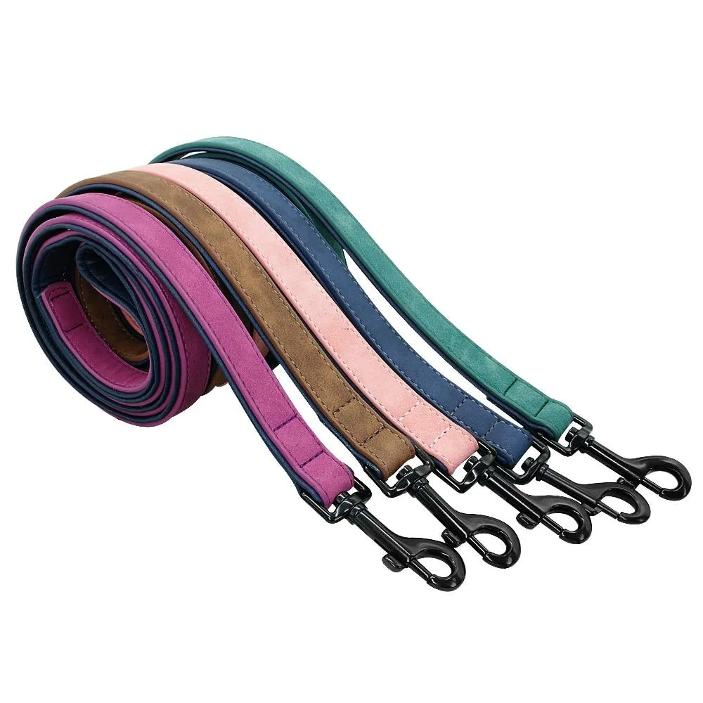 Leather Collar & Leash
