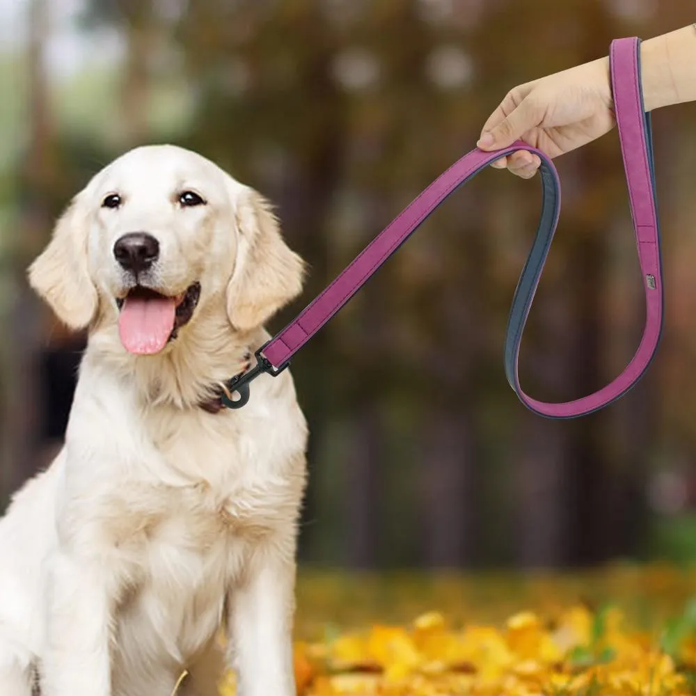 Leather Collar & Leash