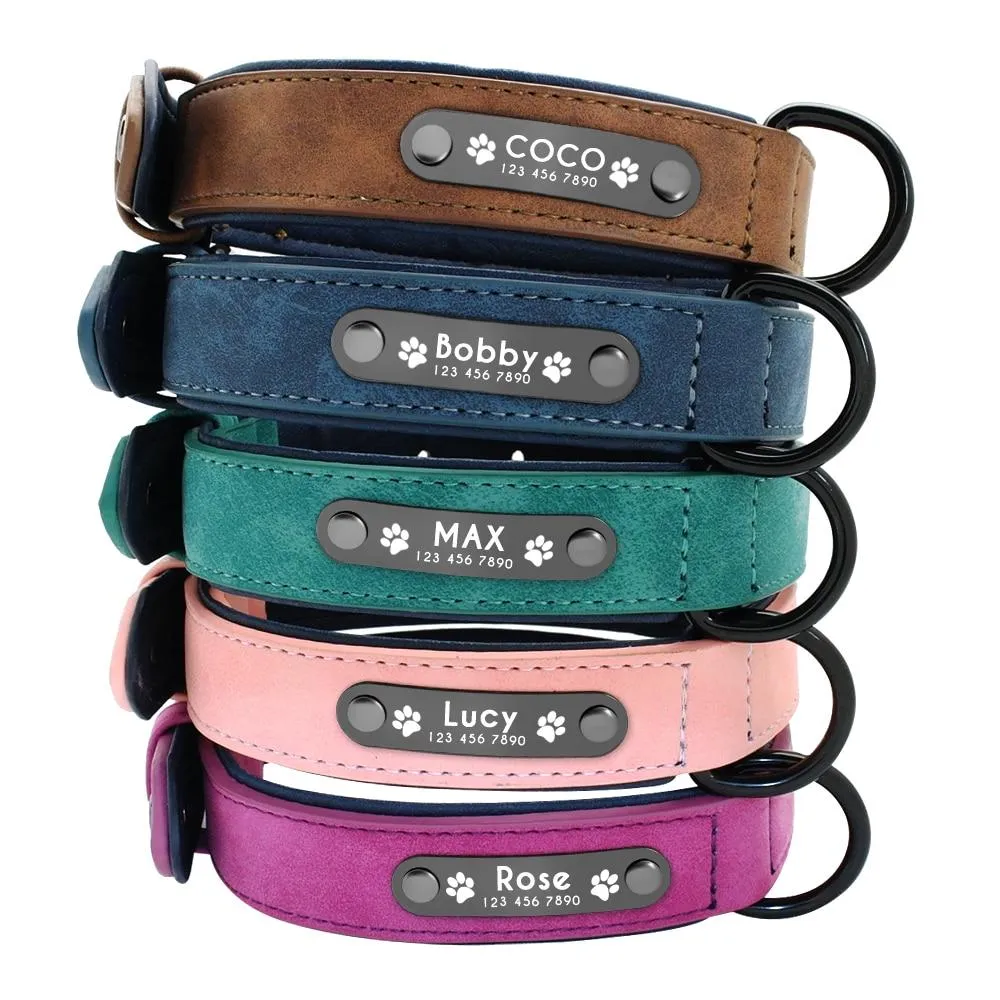 Leather Collar & Leash