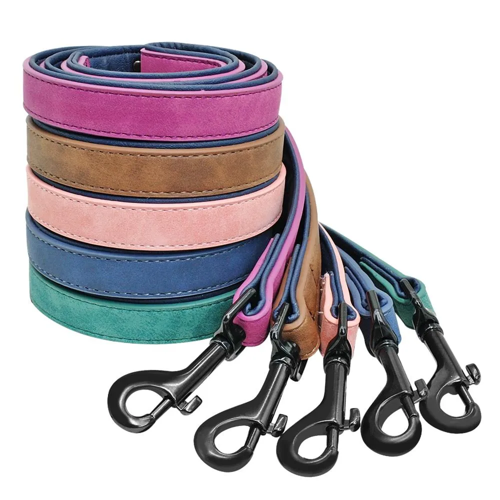 Leather Collar & Leash