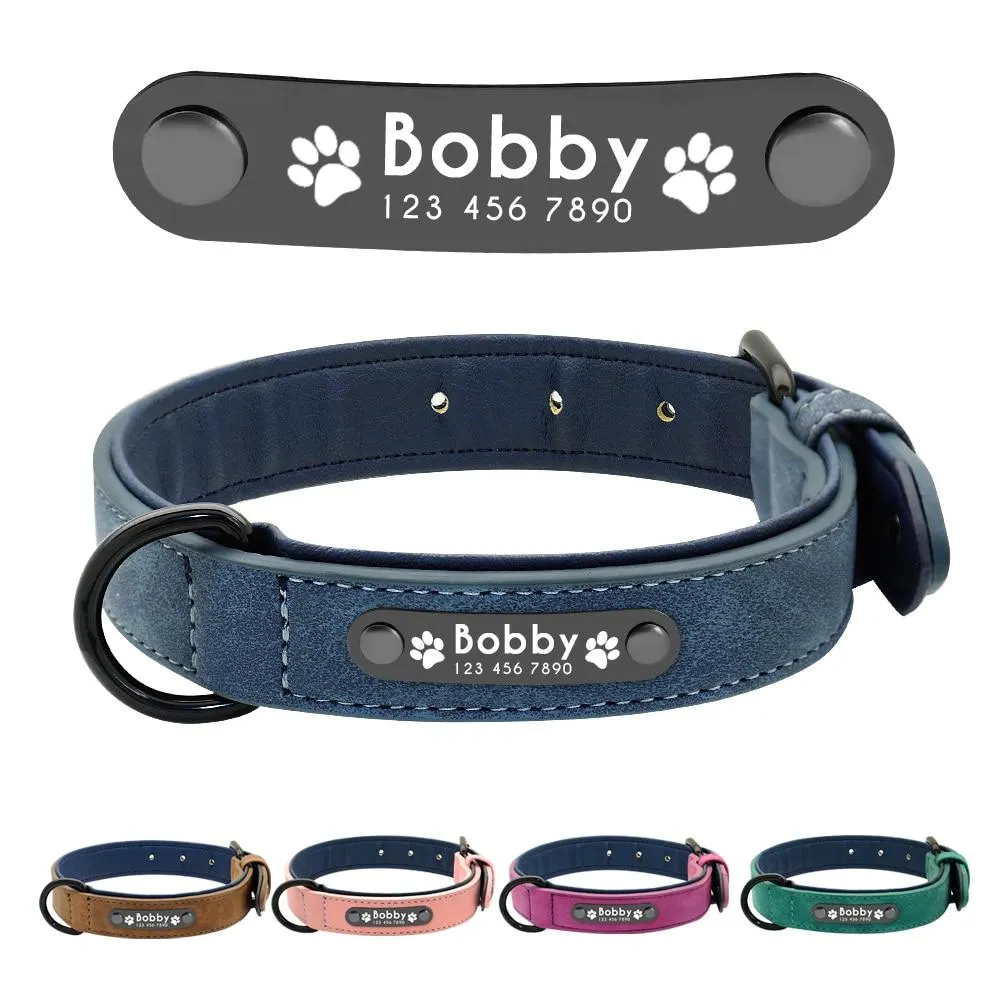 Leather Collar & Leash