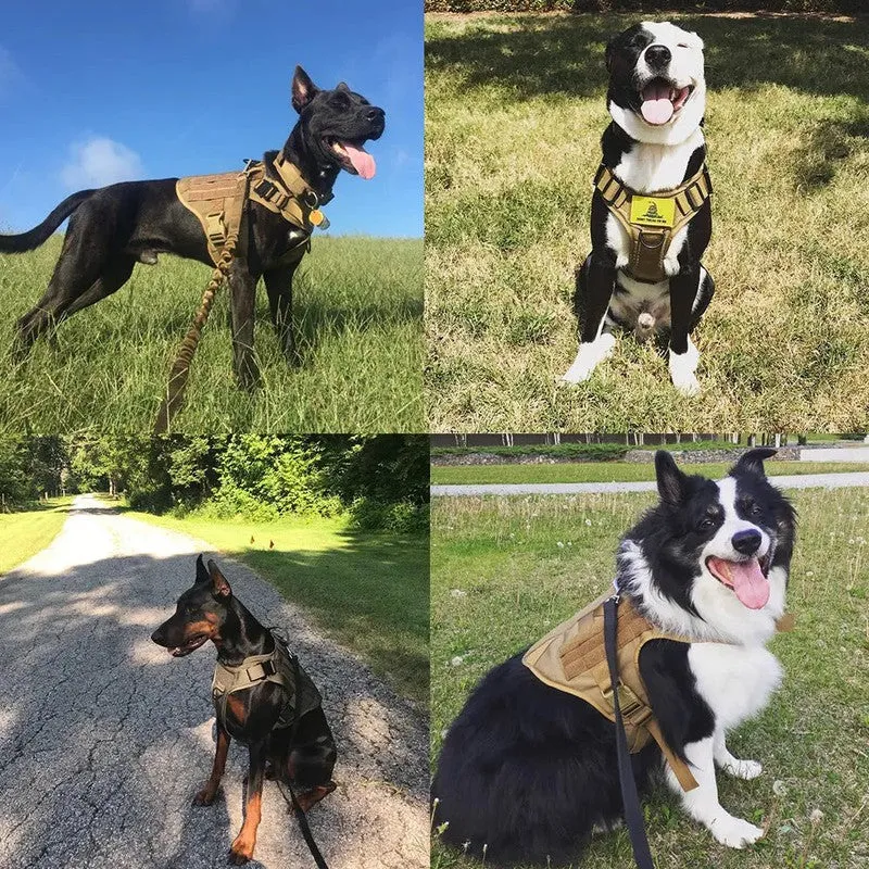 Military Tactical Dog Harness & Leash Set – Secure Comfort