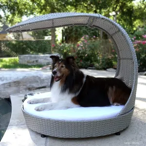 Outdoor Dog Chaise Bed W/Shade Hood