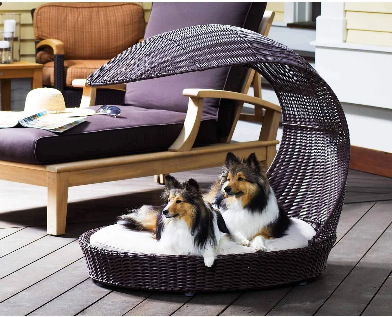Outdoor Dog Chaise Bed W/Shade Hood