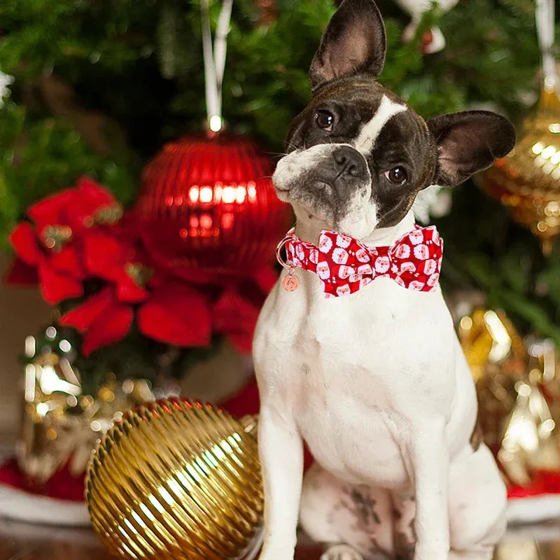 Personalized Christmas Dog Collar with Bow - Red Santa Design for All Sizes