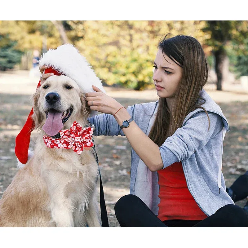 Personalized Christmas Dog Collar with Bow - Red Santa Design for All Sizes