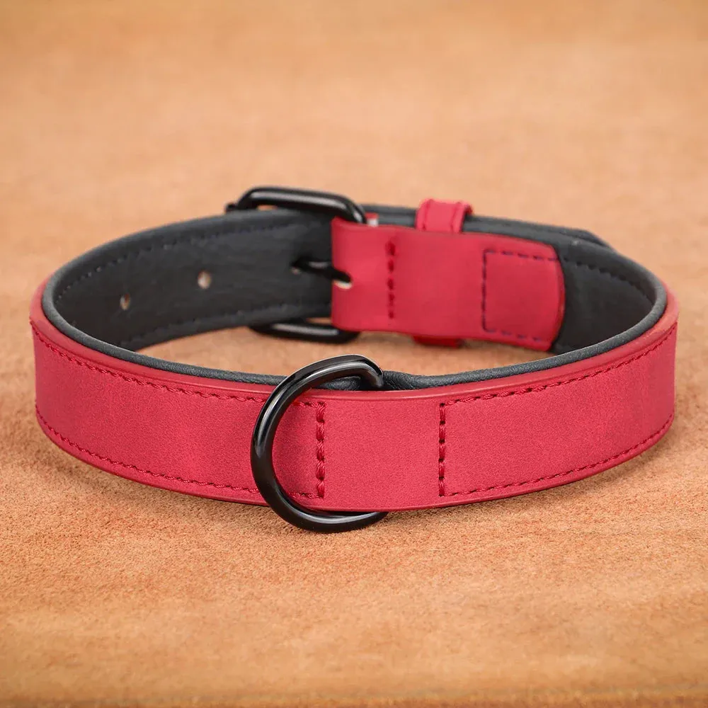 Premium Leather Dog Collar for Large Breeds