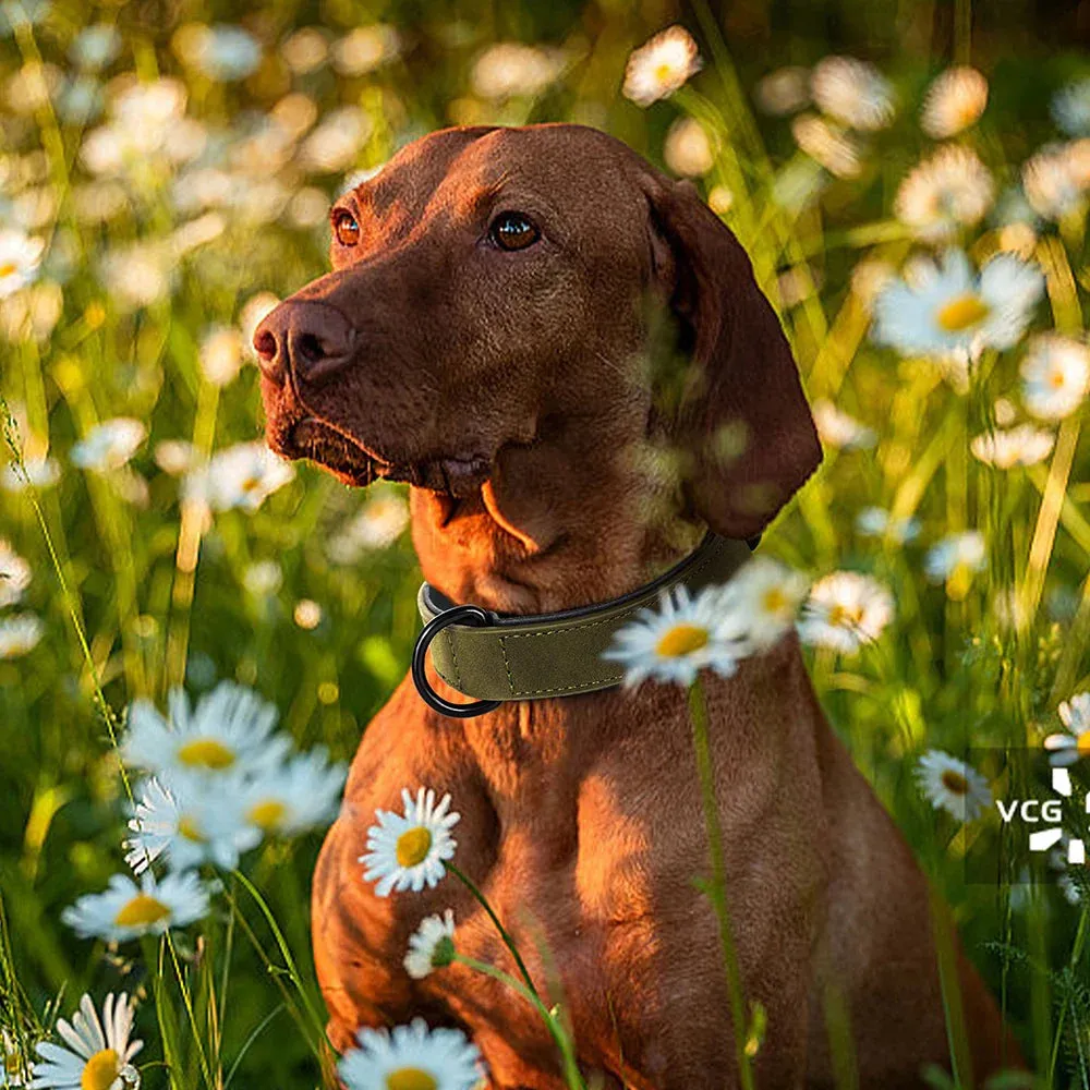 Premium Leather Dog Collar for Large Breeds