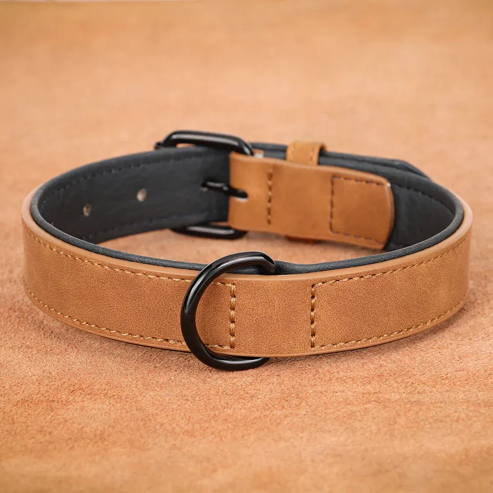 Premium Leather Dog Collar for Large Breeds
