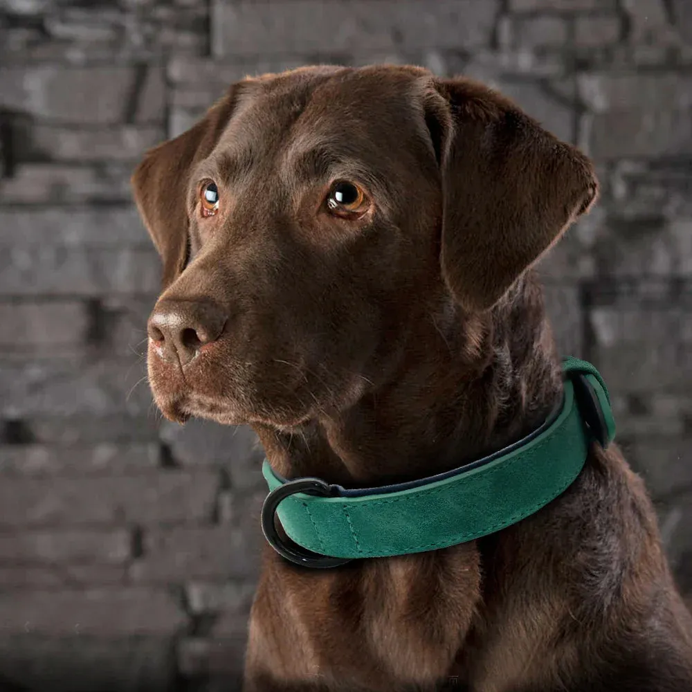 Premium Leather Dog Collar for Large Breeds