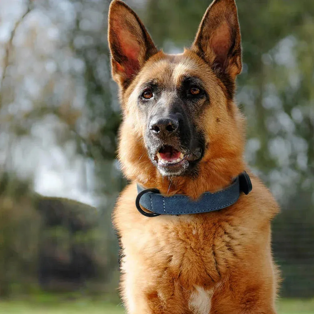 Premium Leather Dog Collar for Large Breeds