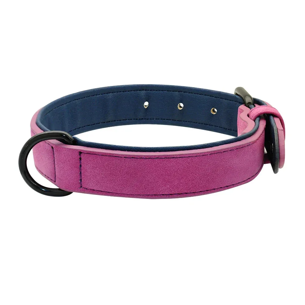 Premium Leather Dog Collar for Large Breeds