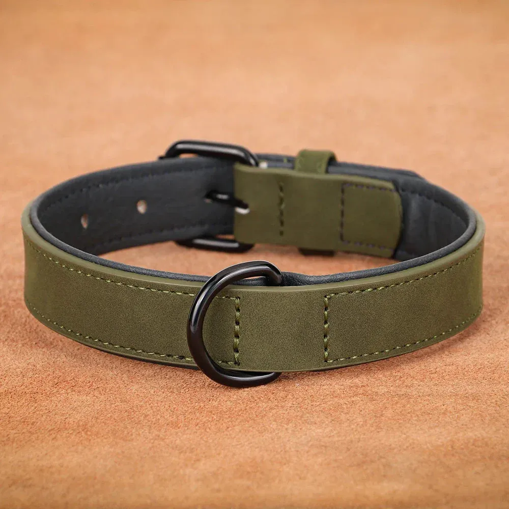 Premium Leather Dog Collar for Large Breeds
