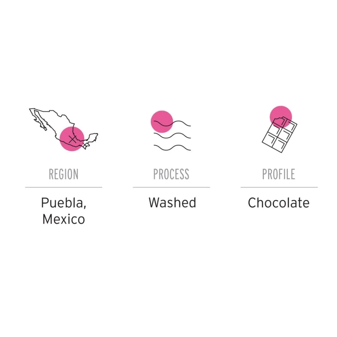 Puebla Coffee (340g)