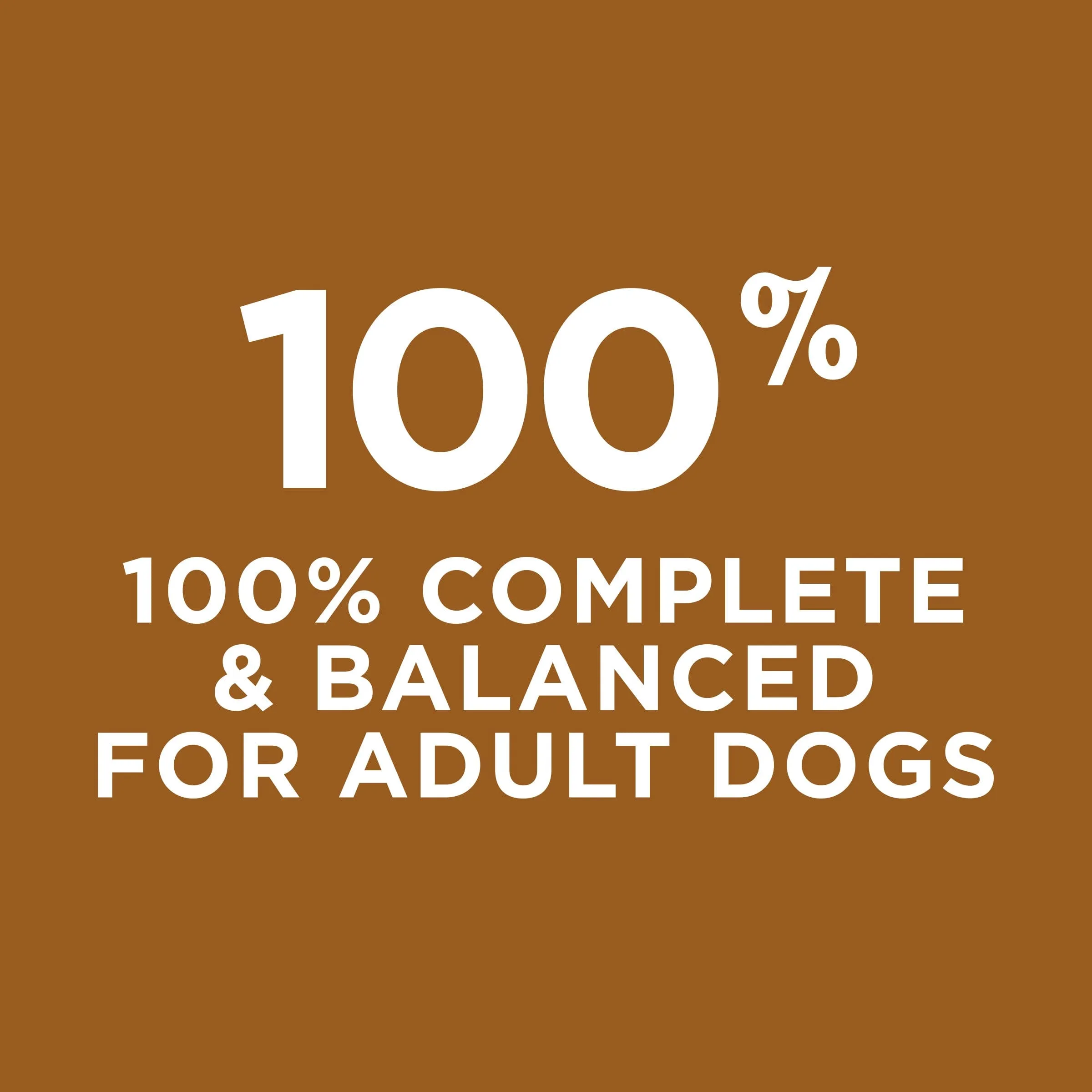 PURINA ONE ADULT DRY DOG FOOD LAMB AND RICE 4LB - POALNR