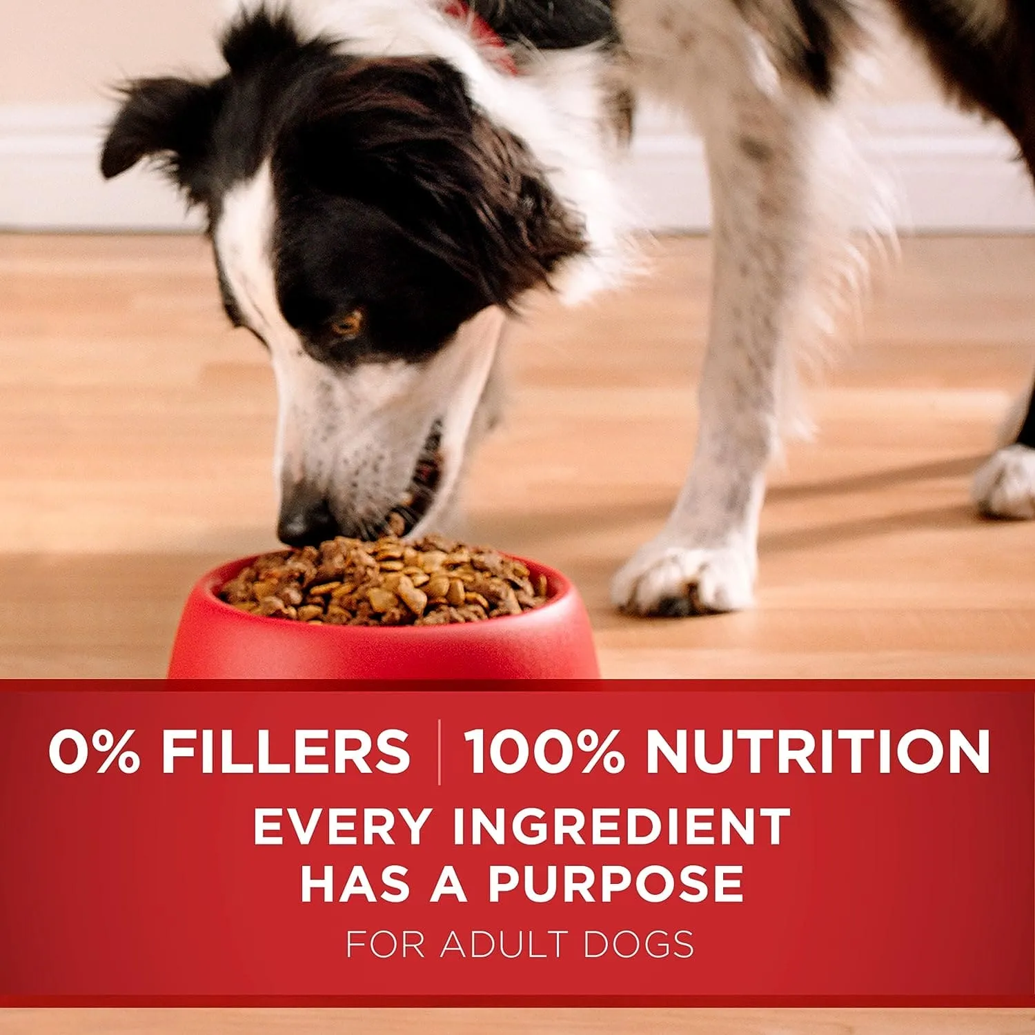 PURINA ONE ADULT DRY DOG FOOD LAMB AND RICE 4LB - POALNR