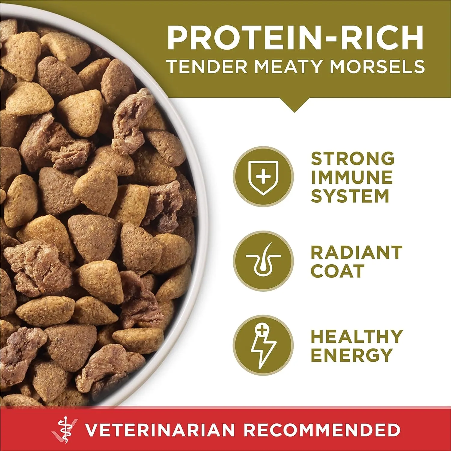 PURINA ONE ADULT DRY DOG FOOD LAMB AND RICE 4LB - POALNR