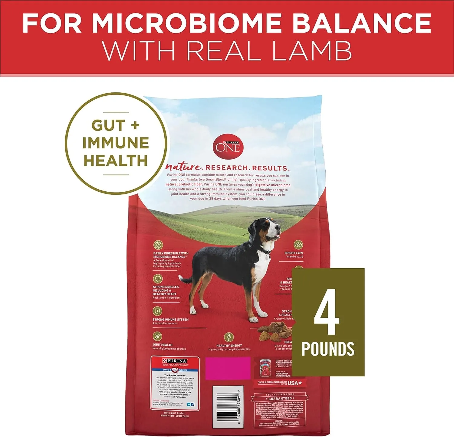 PURINA ONE ADULT DRY DOG FOOD LAMB AND RICE 4LB - POALNR