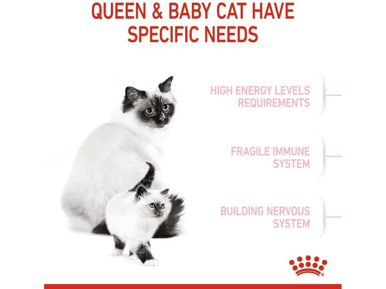Royal Canin Feline Health Nutrition Mother and Babycat 2 KG