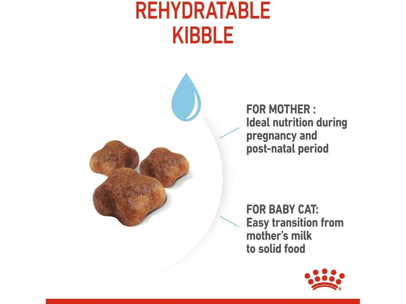 Royal Canin Feline Health Nutrition Mother and Babycat 2 KG